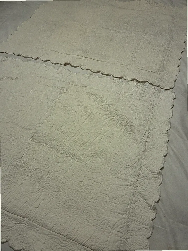 MATELASSE Shams STANDARD Paisley Cream COTTON Scalloped Linens N Things PAIR